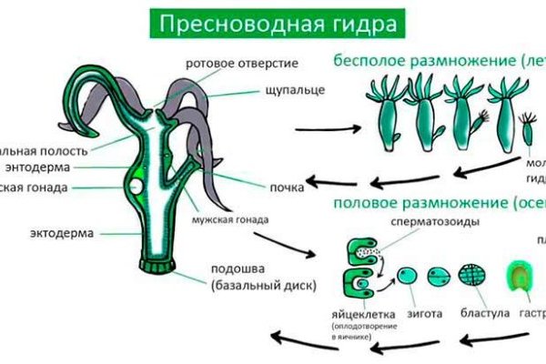 Кракен даркнет рабочая