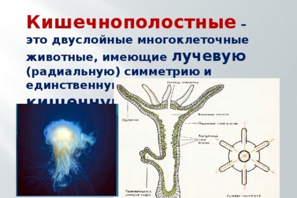 Кракен телеграмм канал