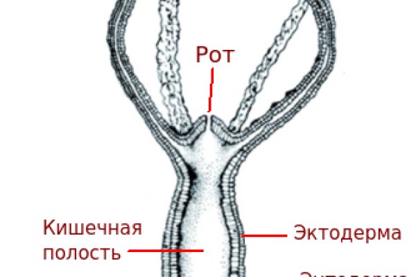 Кракен найдется все